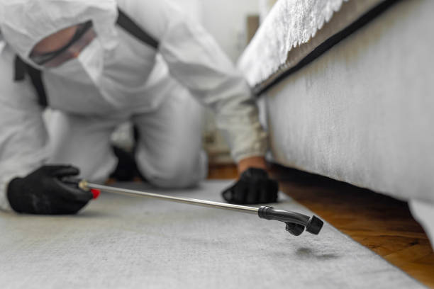 Professional Termite Control technician working in Forsyth, MT