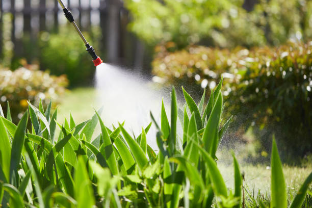 24/7 Emergency Termite Control experts in Forsyth, MT