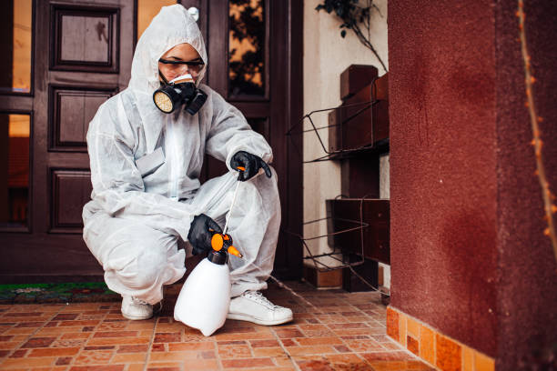 Reliable Termite Control contractor in Forsyth, MT by Nex Pest Control